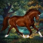 Horses