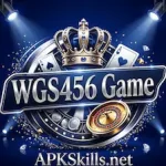 WGS456 Game