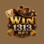 Win313 Game
