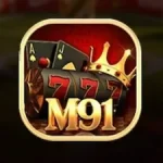 M91 Game