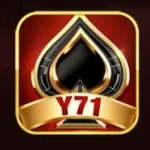 Y71 Game